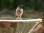 DSCN1829.JPG